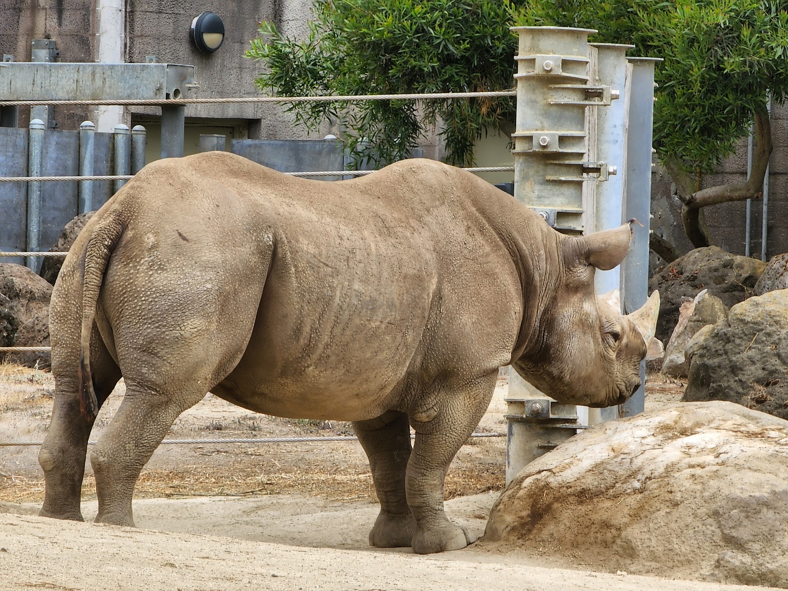 SF Zoo Free Admission Day 5